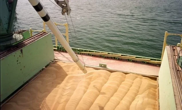 Grain Cargoes